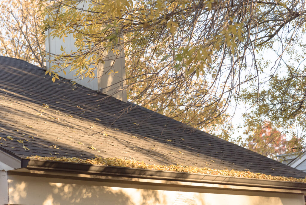 Advice from a Siding Contractor in Greenwich on Fall Maintenance