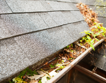 Clogged gutters on a Trumbull home
