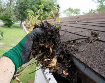 Gutter cleaner working on a roof in Trumbull.