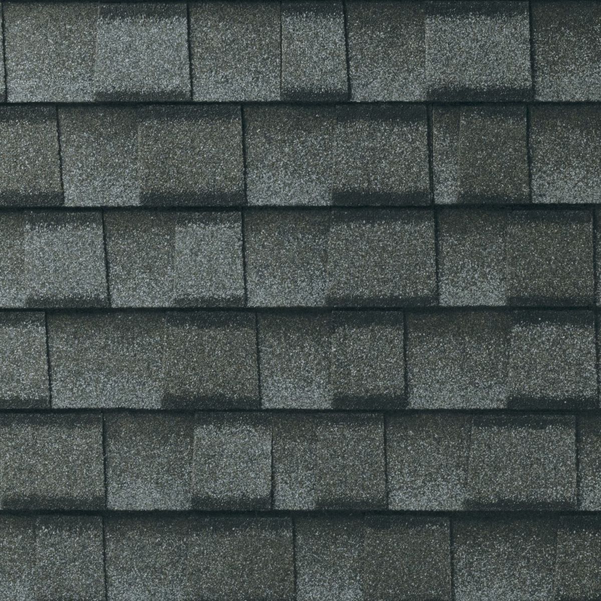 L. A. Barnaby & Sons Images
