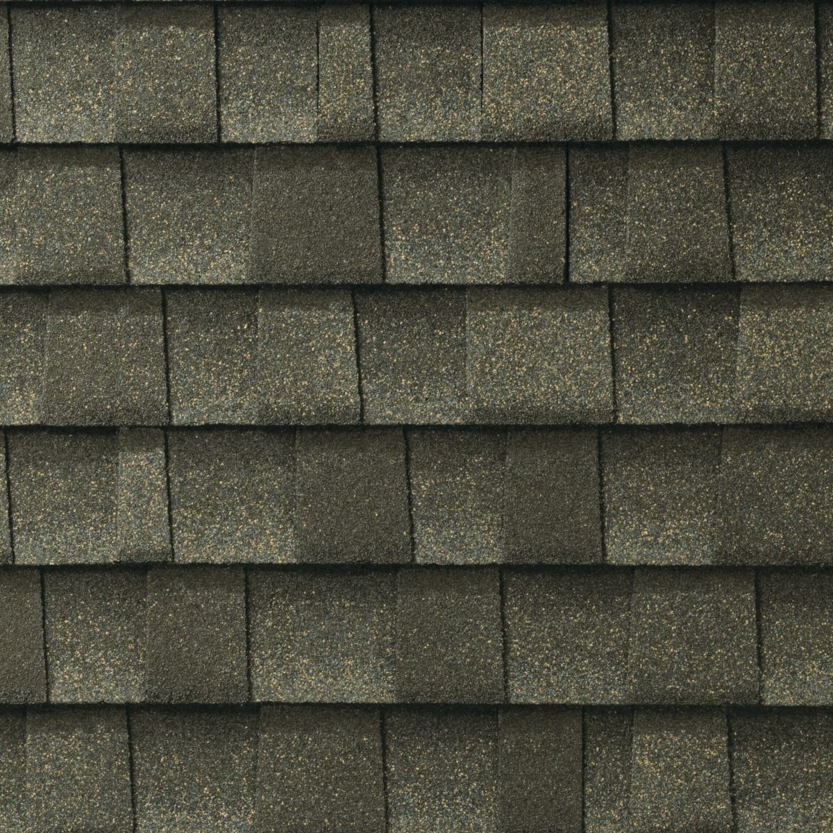 L. A. Barnaby & Sons Images